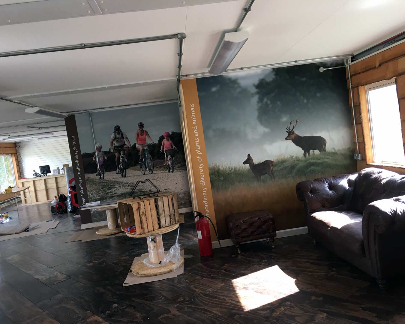 Cyclexperience printed wall graphics